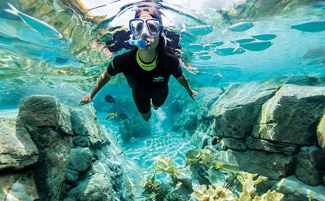 Discovery Cove Florida Resident Offer