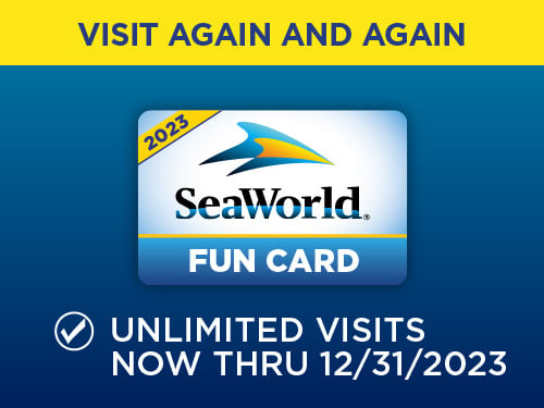 Fun Card - Visit again and again