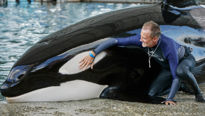 Orca Trainer