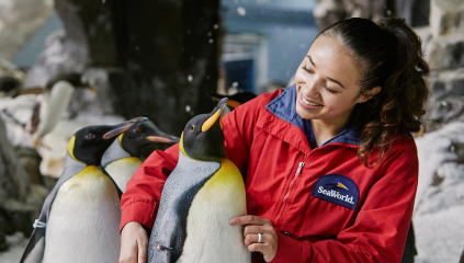 Penguin Keeper